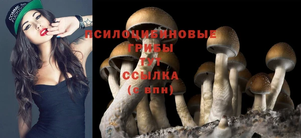 гидропоника Навашино